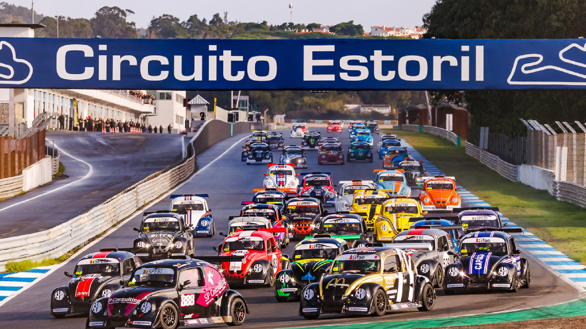 Fun Cup Race